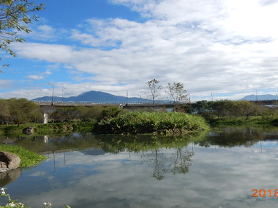 生態島