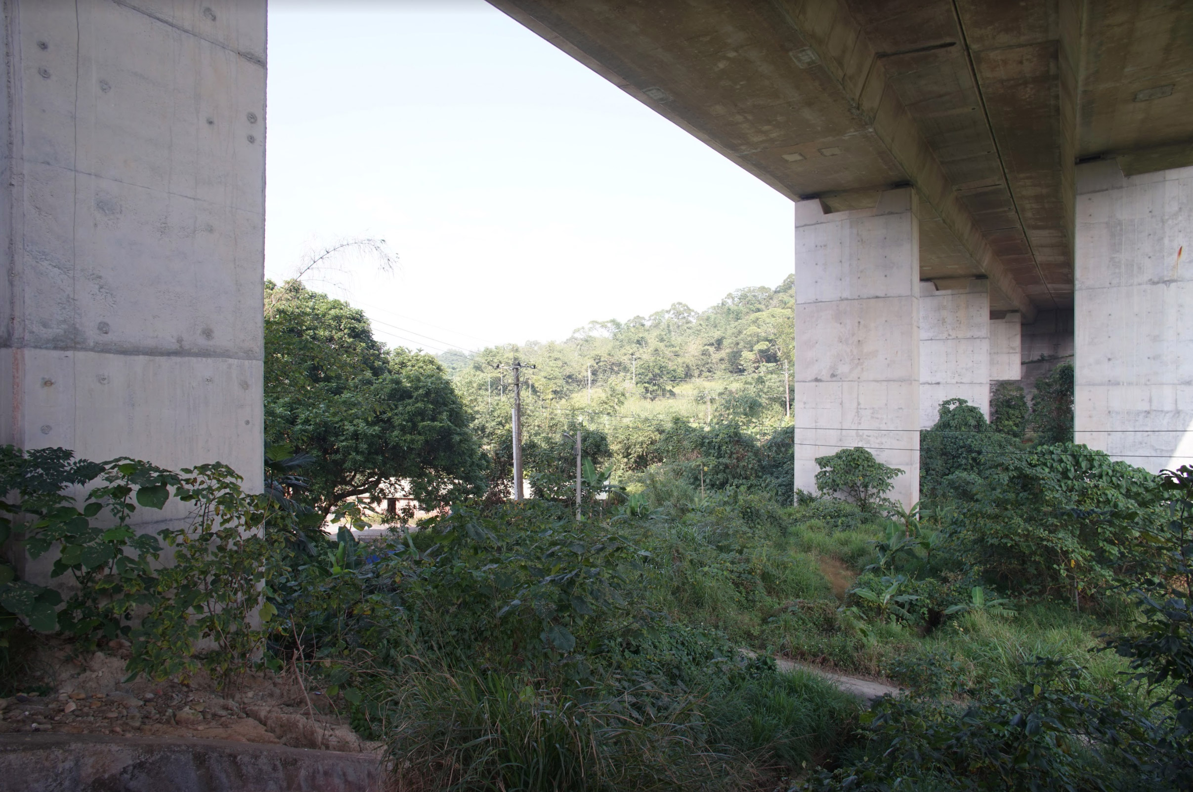 國道3號白河段大林隧道動物通道改善